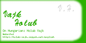 vajk holub business card